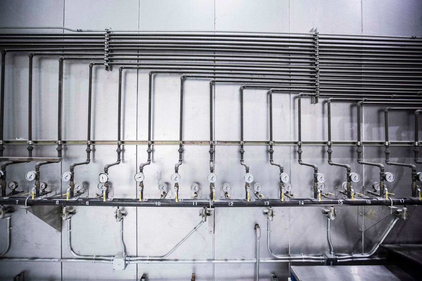Industrial plumbing pipe network
